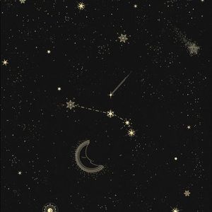 Meet your Posher, Daniela